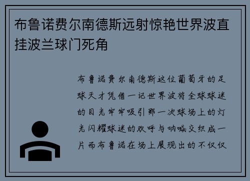 布鲁诺费尔南德斯远射惊艳世界波直挂波兰球门死角